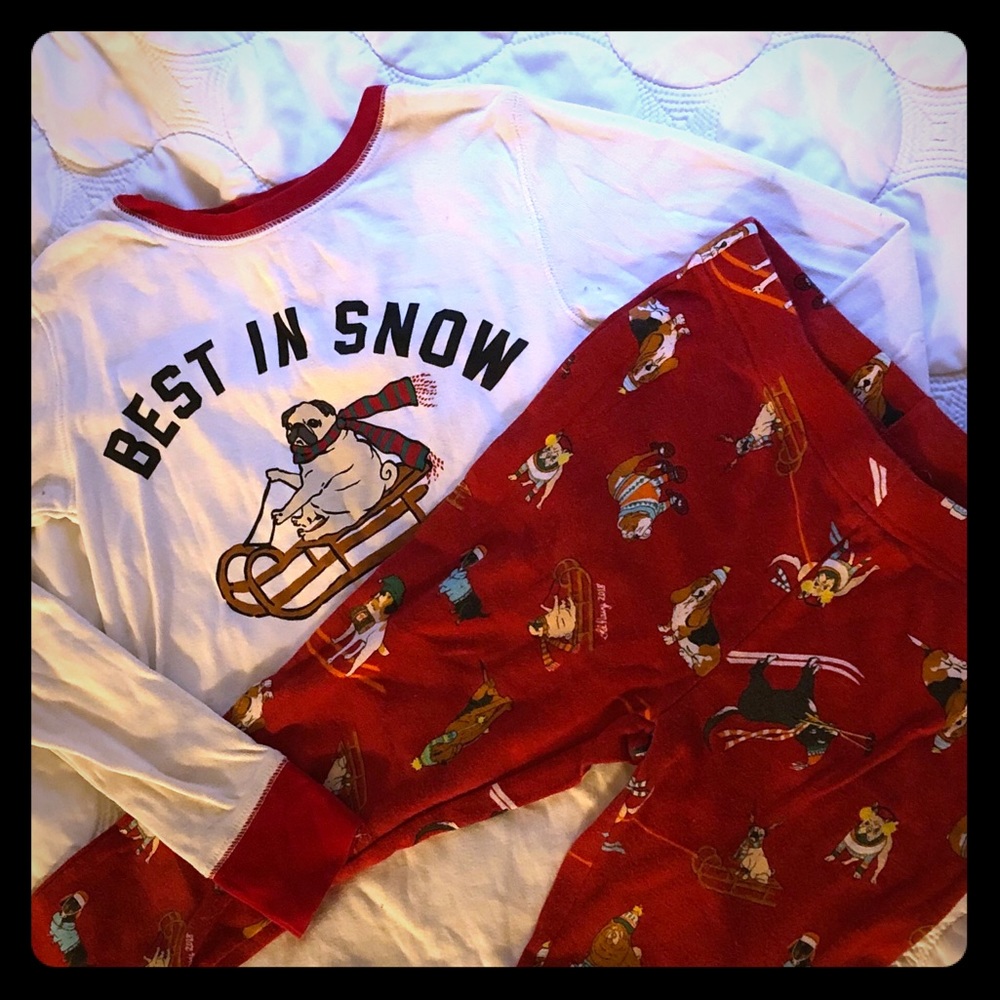 Christmas dog pj set